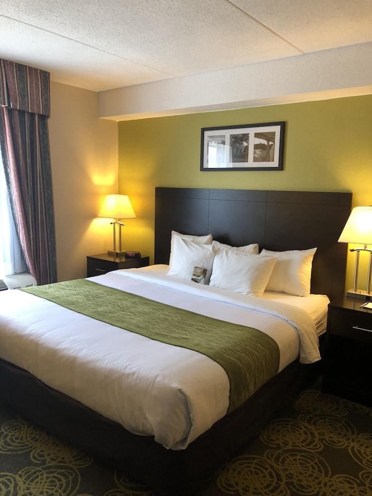 Comfort Hotel & Suites Peterborough Exteriér fotografie
