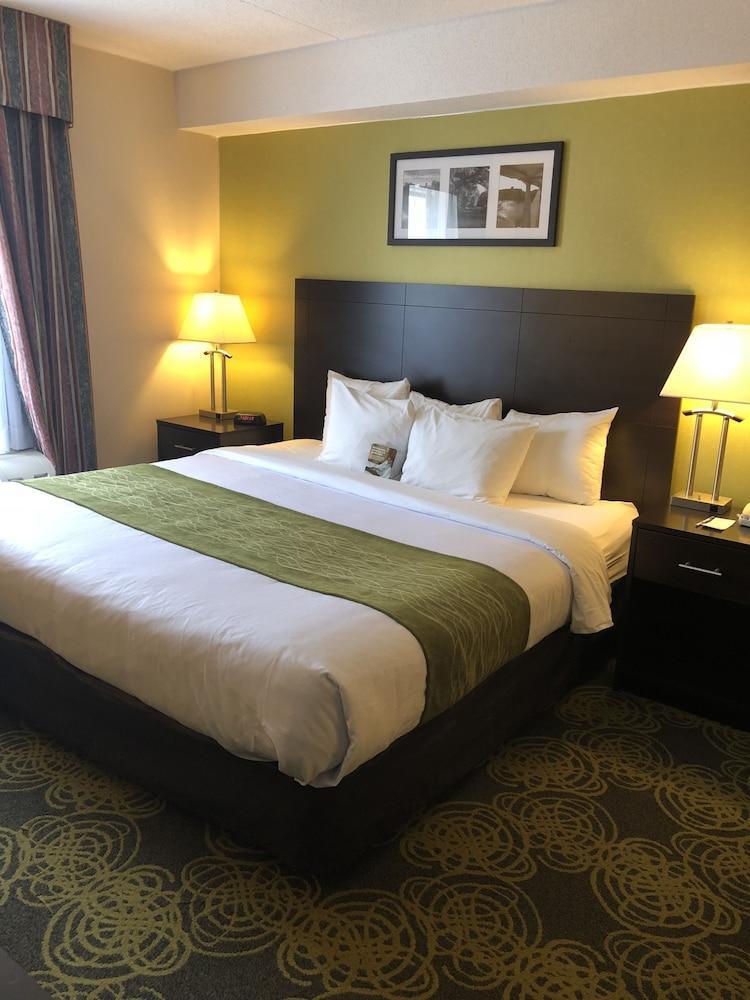 Comfort Hotel & Suites Peterborough Exteriér fotografie